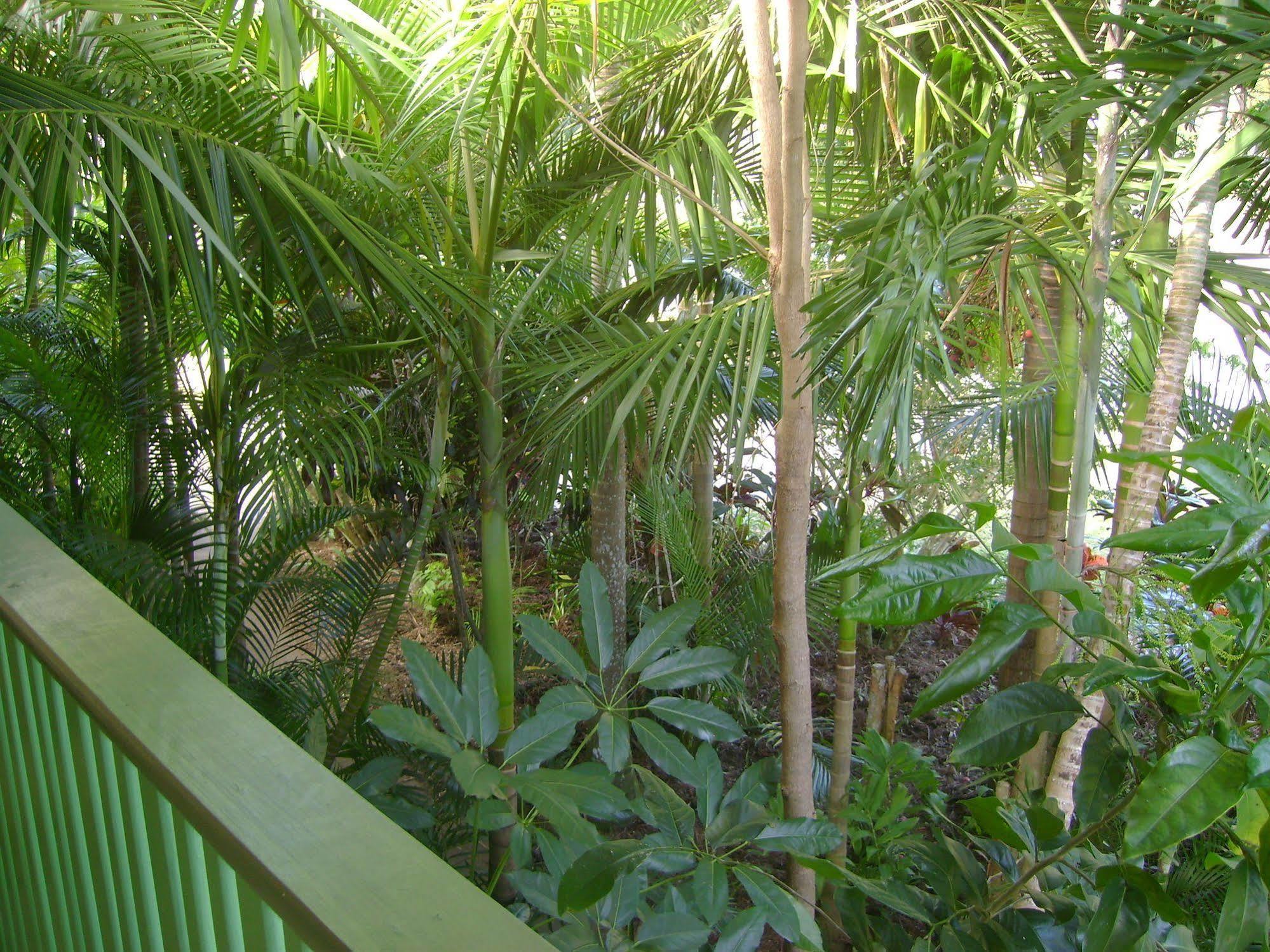 Tropical Nites Holiday Townhouses Port Douglas Kültér fotó